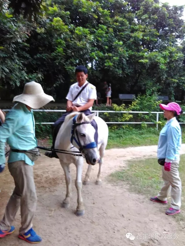 ���ҷ���׌��������á�2015��B�T�м�����(ji��)��ӣ�