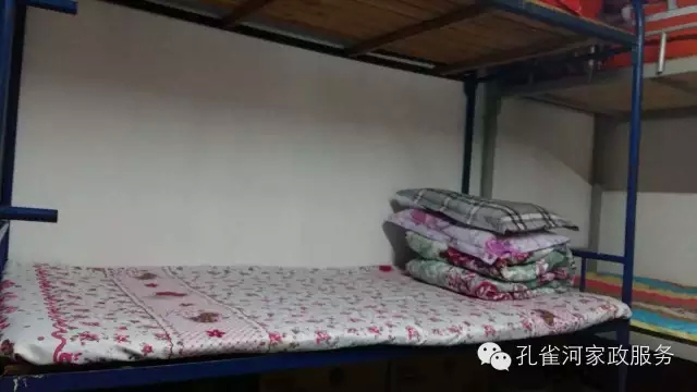 ��ȸ�Ӽ�����ķ������ů��ů��������