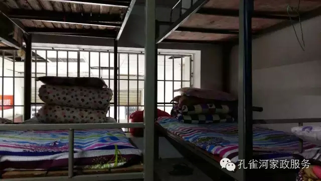 ��ȸ�Ӽ�����ķ������ů��ů��������