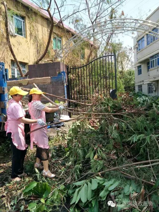 ��������y���������